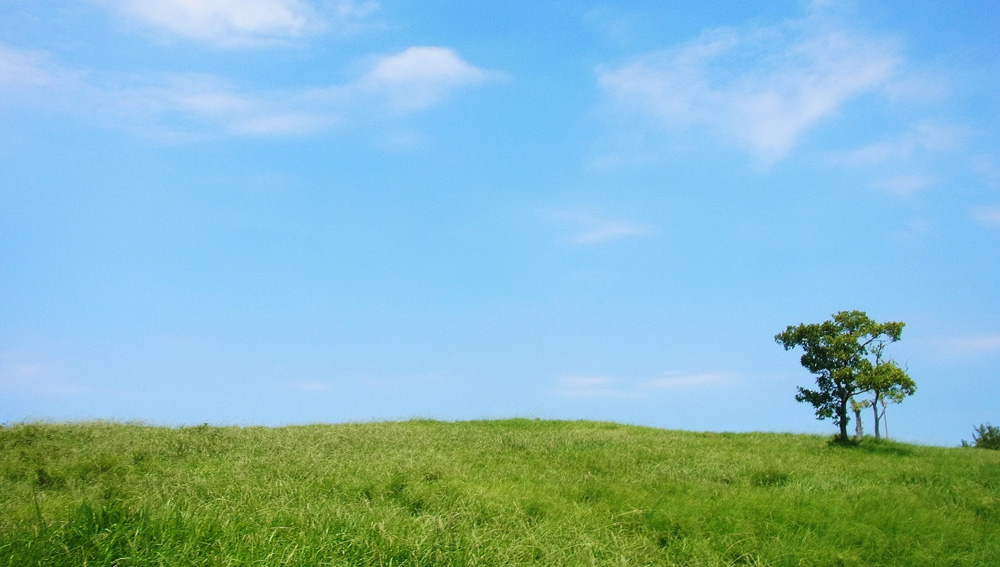 ���ꥢ�󥿥���Τ���������.net